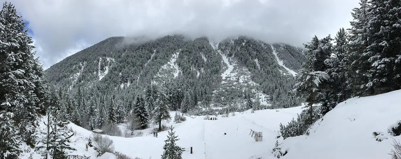 Snow-covered pine forest and mountain slopes in the Pirin mountains above Bansko