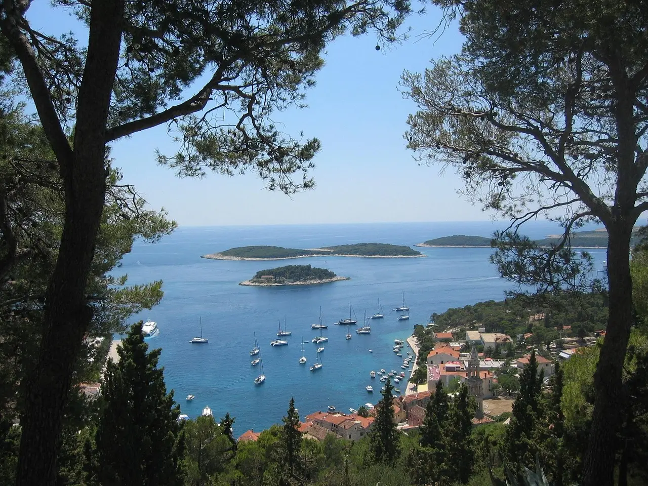 Looking through pine trees over Hvar's harbour full of yachts, with small wooded islands in a blue sea