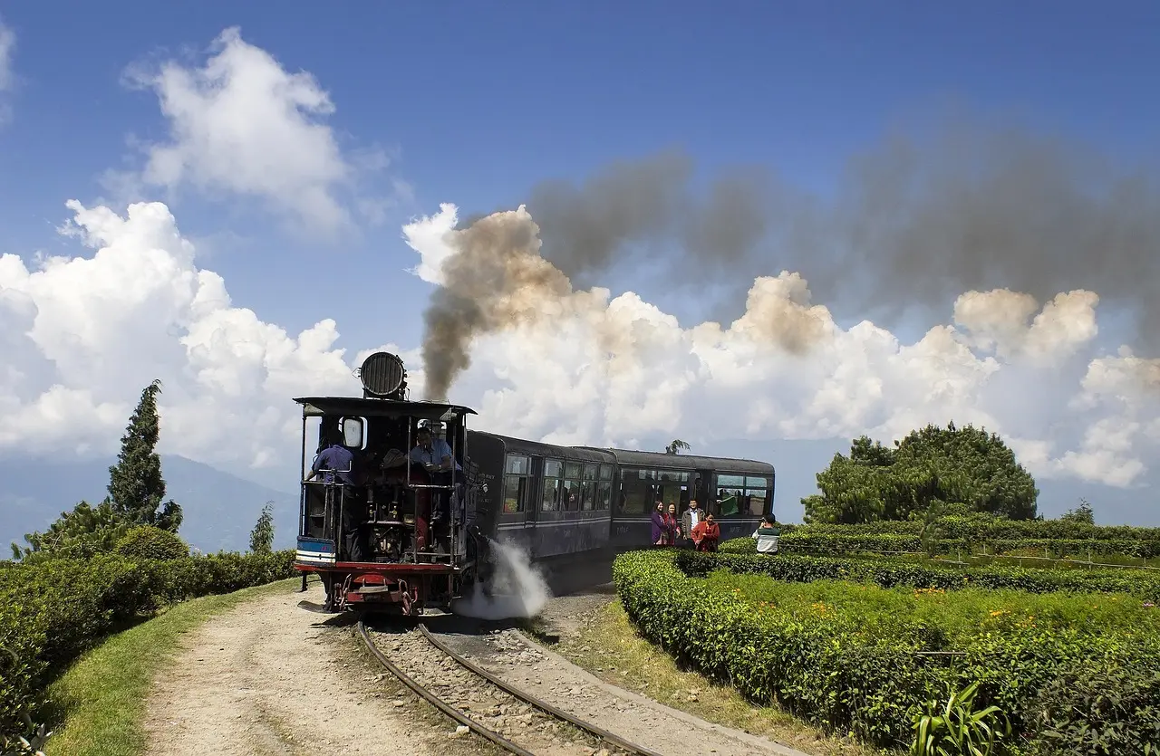 A small steam engine pulling a blue carriage along narrow tracks between tea bushes, puffing smoke under a blue sky