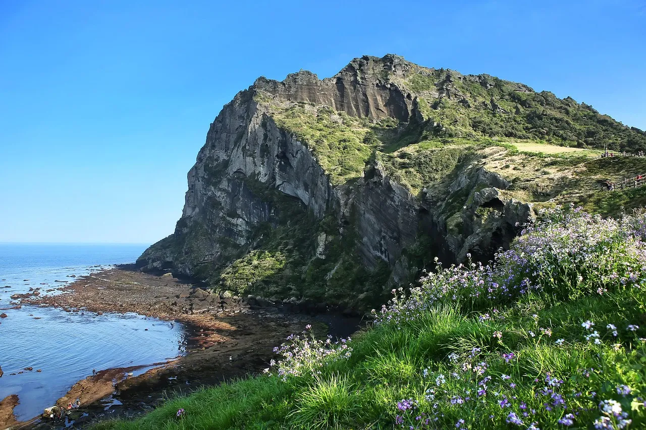 The green cliffs of Seongsan Ilchulbong crater rising from the sea on Jeju