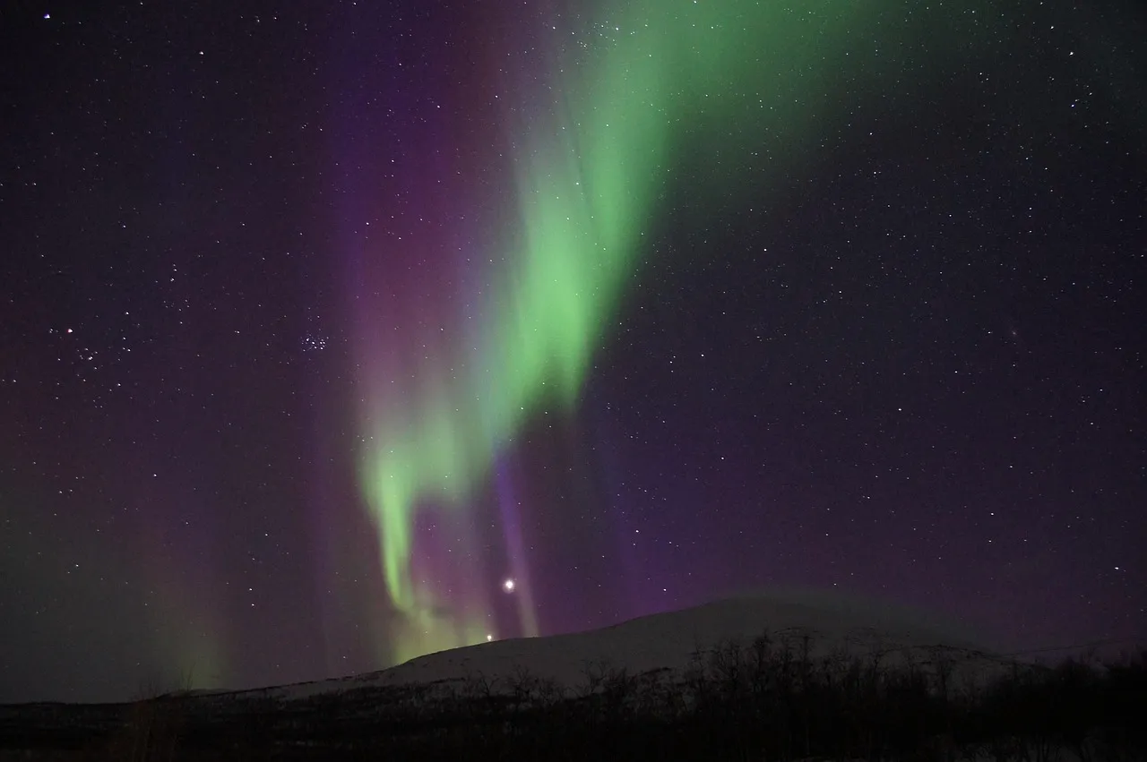 Green and violet northern lights in a starry sky above dark snowy hills near Abisko in Swedish Lapland