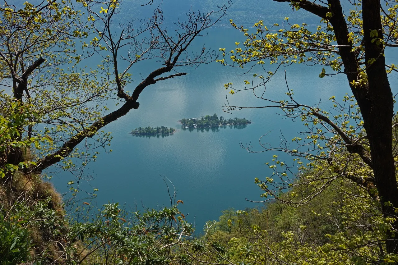 The Brissago Islands in Lake Maggiore, seen through the trees from above
