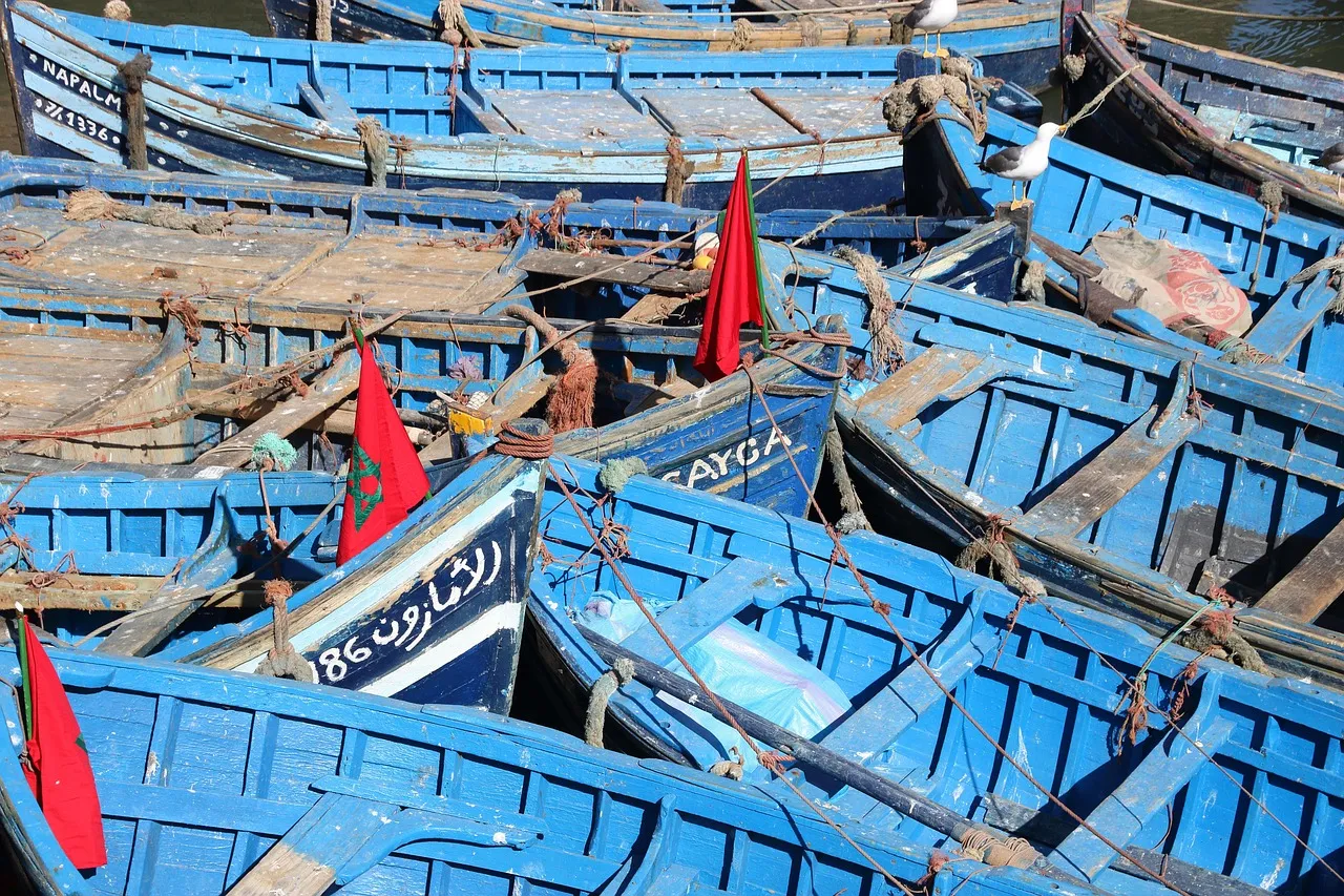 Rows of blue wooden fishing boats with small red flags packed together in Essaouira harbour
