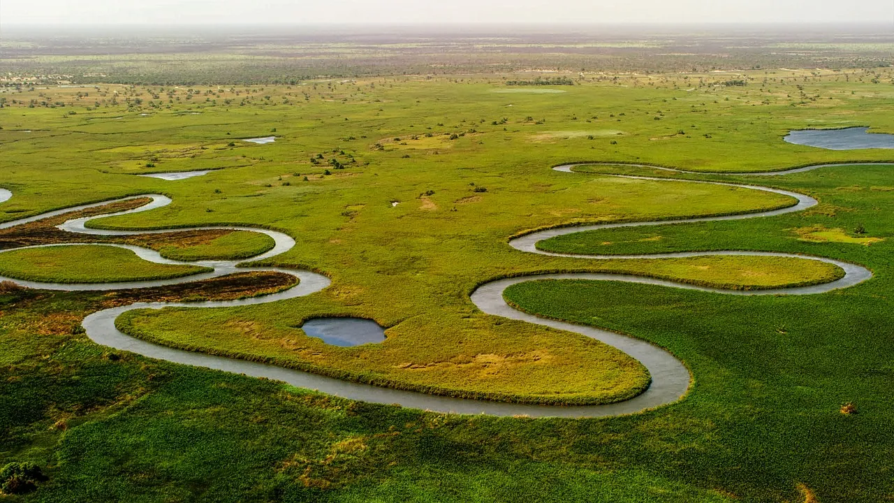 An aerial view of the Okavango Delta in Botswana, with a river winding in loops across green floodplains