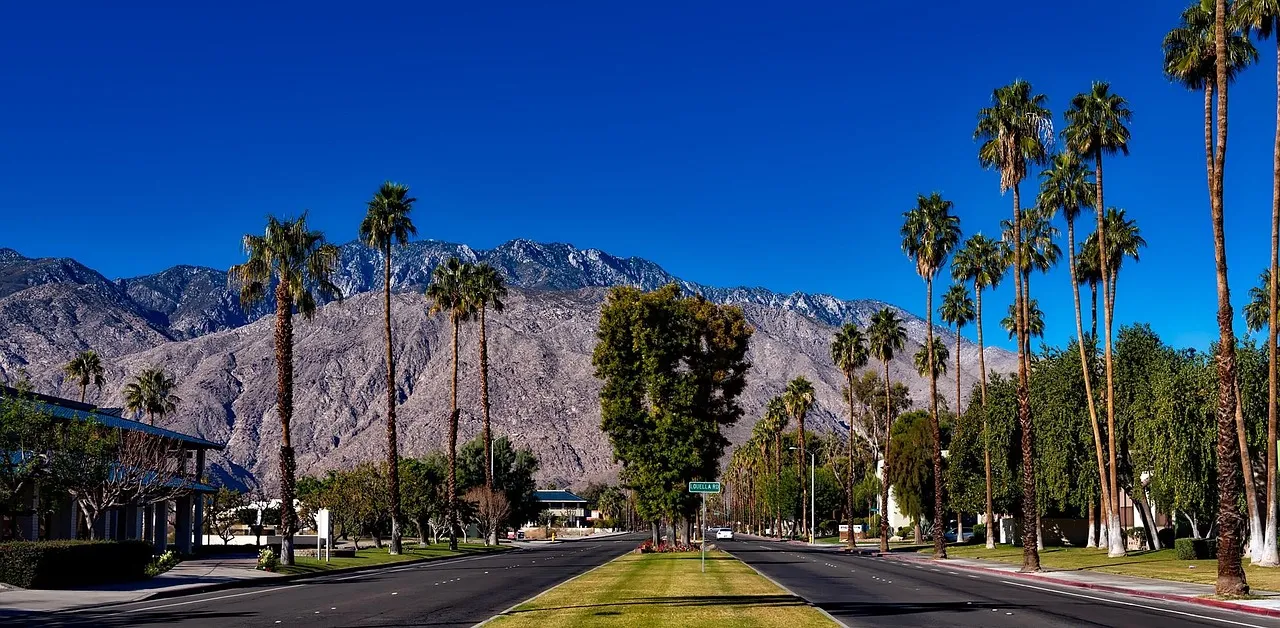 Palm trees lining a straight street in Palm Springs, with the bare San Jacinto mountains behind under a deep blue sky