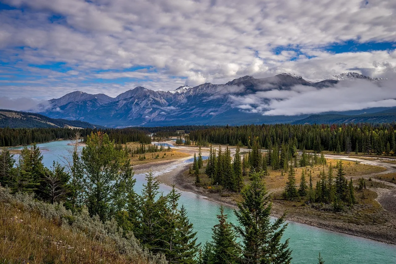 The Athabasca River winding through pine forest towards snow-capped peaks in Jasper National Park, a stop on The Canadian
